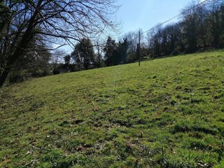 SE VENDE FINCA RÚSTICA. SARDÍN (ASTURIAS)