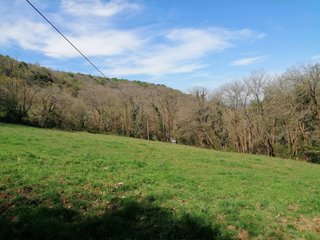 SE VENDE FINCA RÚSTICA. SARDÍN (ASTURIAS)