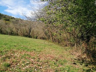 SE VENDE FINCA RÚSTICA. SARDÍN (ASTURIAS)