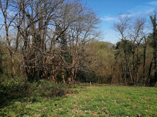 SE VENDE FINCA RÚSTICA. SARDÍN (ASTURIAS)