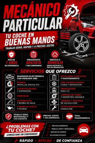 Mecánico a particular