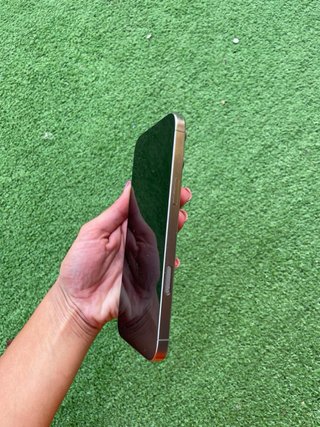 iPhone 16 Pro Max Gris/Plata