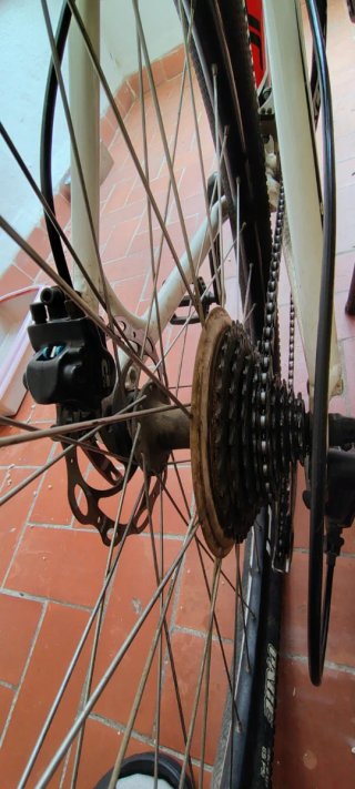 Bicicleta MTB Specialized 29