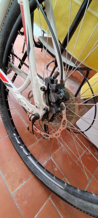 Bicicleta MTB Specialized 29