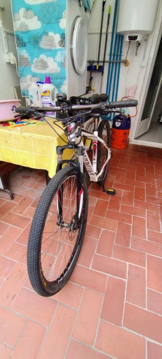 Bicicleta MTB Specialized 29