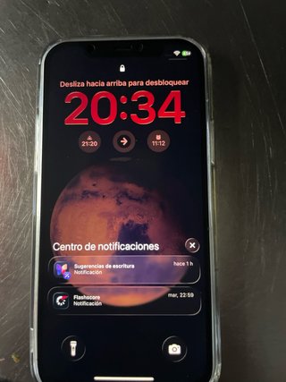 iPhone 12 Pro Grigio Siderale/Oro