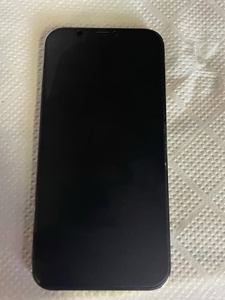 iPhone 12 Pro Grigio Siderale/Oro