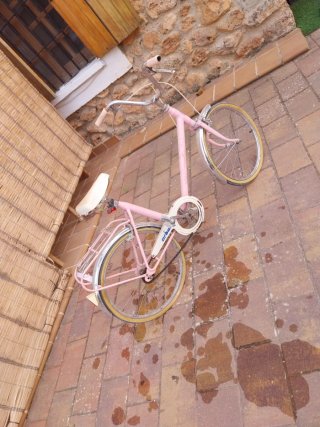 Bicicleta Orbea Rosa Vintage