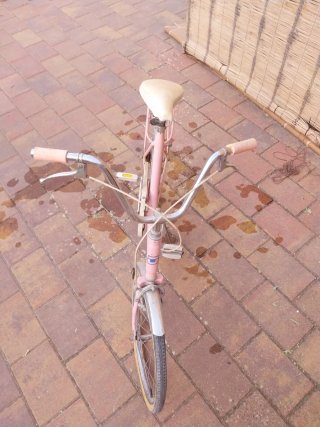Bicicleta Orbea Rosa Vintage