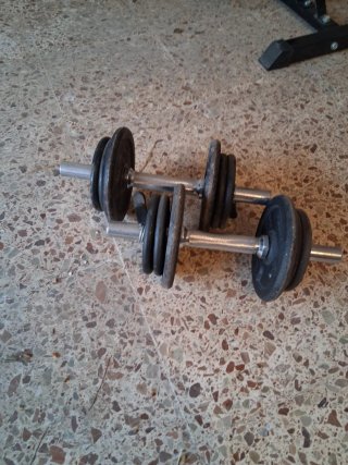 Mancuernas ajustables 10kg con discos