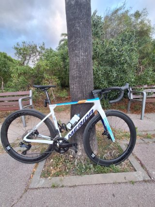 Merida Scultura S 2025