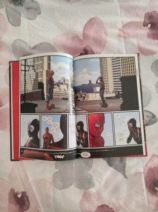 Ultimate Comics Spiderman: Spidermen