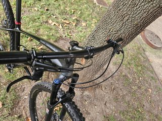 Mtb canyon carbono 29 pulgadas 1x12 btt xc bici xt