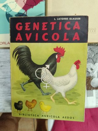 Lote 5 libros vintage colección AVIDESA Luis Suñer