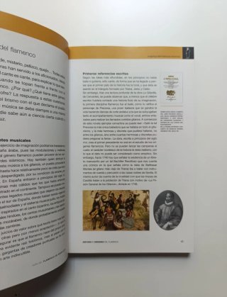 Guía del flamenco de Andalucía.