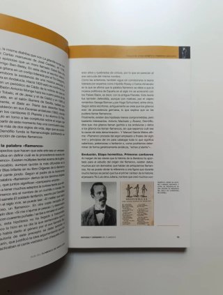 Guía del flamenco de Andalucía.