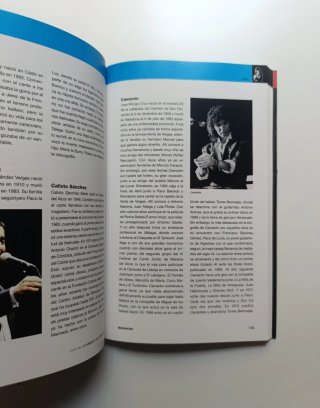 Guía del flamenco de Andalucía.