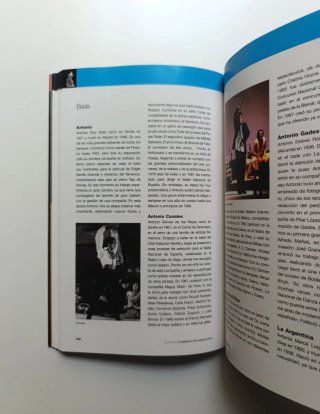 Guía del flamenco de Andalucía.