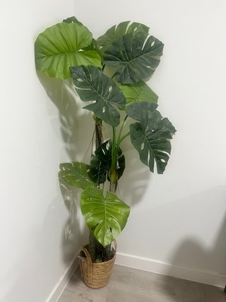 Planta Decorativa Plástico Tipo Palmera
