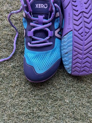 Zapatillas Xero HFS Correr Azul/Morado