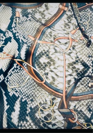 Blusa estampada serpiente y cinturones