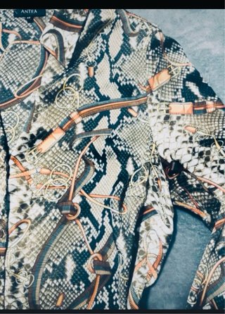 Blusa estampada serpiente y cinturones