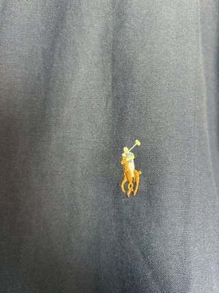 Camisa Polo Ralph Lauren Azul
