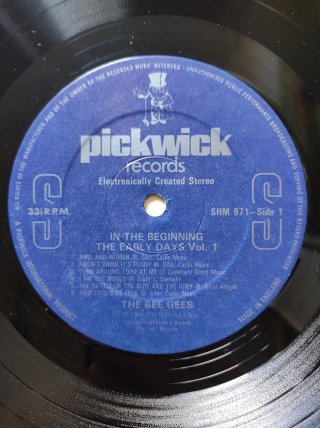 LP Bee Gees In The Beginning - The Early Days V.1