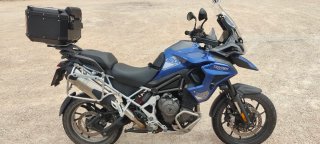 Triumph Tiger 1200 GT PRO 2022