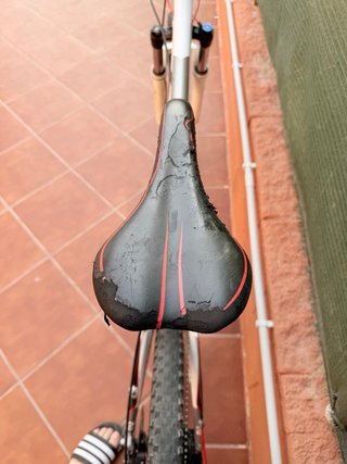 Bicicleta Montaña Focus Black Forest