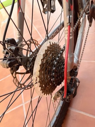 Bicicleta Montaña Focus Black Forest