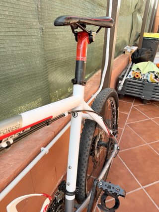 Bicicleta Montaña Focus Black Forest