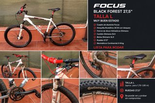 Bicicleta Montaña Focus Black Forest