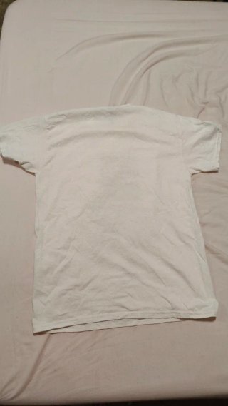 Camiseta Harry Styles Oficial Harry's House