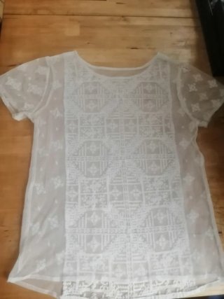 Camisa transparente bordada