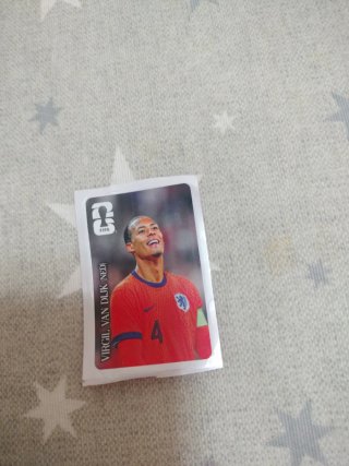 Cromo Coca-Cola Van Dijk (NED)