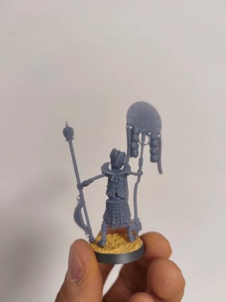Guardia Sepulcro Resina - Barrow Guard Proxy