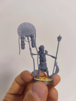 Guardia Sepulcro Resina - Barrow Guard Proxy