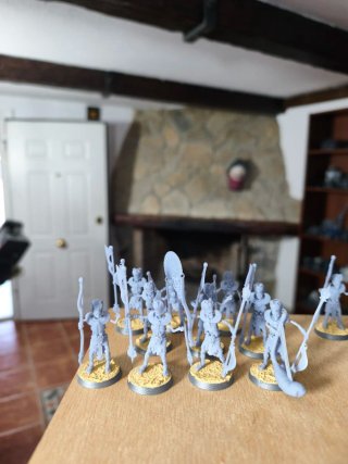 Guardia Sepulcro Resina - Barrow Guard Proxy