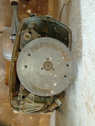 EVINRUDE eje largo y 6cv 2 t, 1978