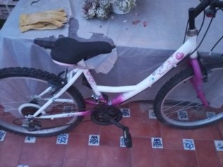 Bicicleta infantil blanca y rosa