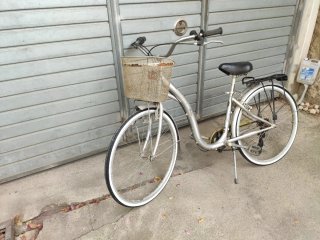 Bicicleta Monty Plata con Cesta