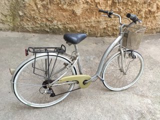 Bicicleta Monty Plata con Cesta