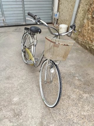 Bicicleta Monty Plata con Cesta