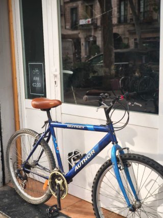 Bicicleta de ciudad AUTHOR