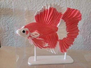 Pez Betta 3D Pintado a Mano