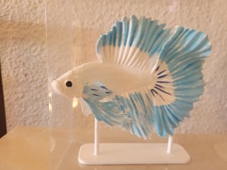 Pez Betta 3D Pintado a Mano