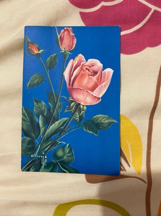 Lote 5 Postales Vintage Flores