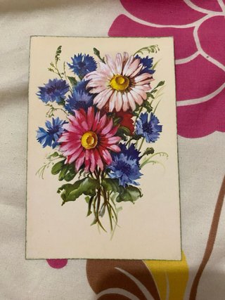Lote 5 Postales Vintage Flores