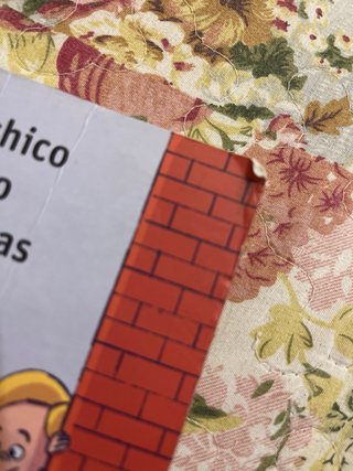 Hay Un Chico En El Baño de Las Chicas